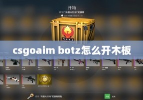 csgoaim botz怎么开木板