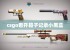 csgo看开箱子记录小黑盒