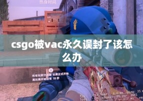 csgo被vac永久误封了该怎么办