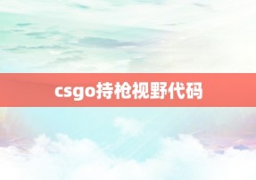 csgo持枪视野代码