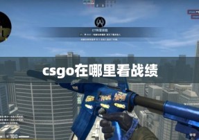 csgo在哪里看战绩