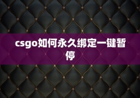 csgo如何永久绑定一键暂停