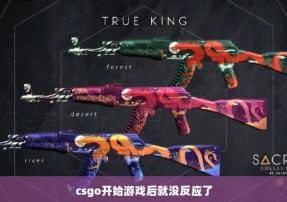 csgo开始游戏后就没反应了