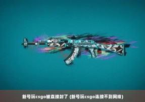 新号玩csgo被直接封了 (新号玩csgo连接不到网络)