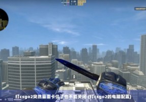 打csgo2突然画面卡住了也不能关闭 (打csgo2的电脑配置)