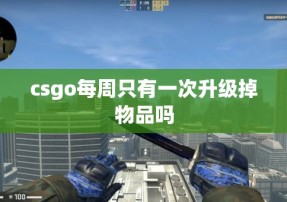 csgo每周只有一次升级掉物品吗