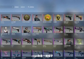 csgo命悬一线箱子