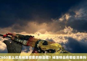 CSGO怎么优先掉落想要的物品呢？掉落物品有哪些清单吗？