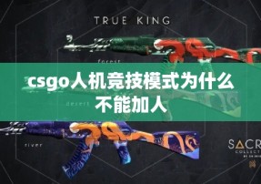 csgo人机竞技模式为什么不能加人