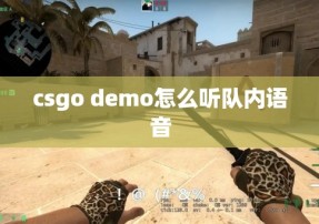 csgo demo怎么听队内语音