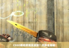 CSGO裸枪就能买皮肤？内幕全揭秘！