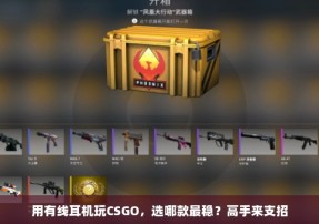 用有线耳机玩CSGO，选哪款最稳？高手来支招