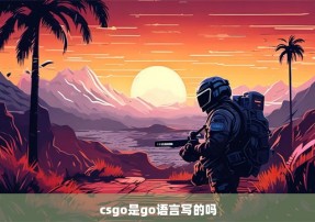 csgo是go语言写的吗