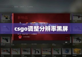 csgo调整分辨率黑屏