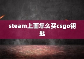 steam上面怎么买csgo钥匙