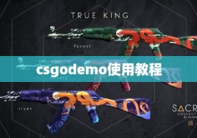 csgodemo使用教程