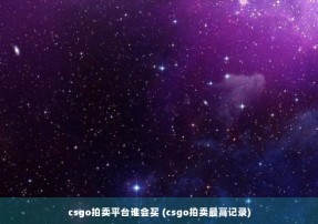 csgo拍卖平台谁会买 (csgo拍卖最高记录)