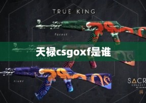 天禄csgoxf是谁