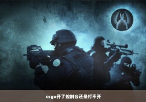 csgo开了控制台还是打不开