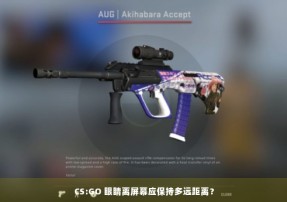 CS:GO 眼睛离屏幕应保持多远距离？