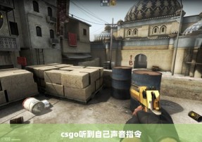 csgo听到自己声音指令