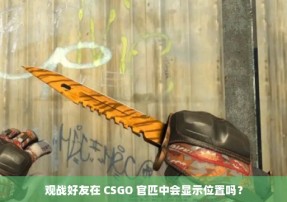 观战好友在 CSGO 官匹中会显示位置吗？