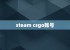 steam csgo账号