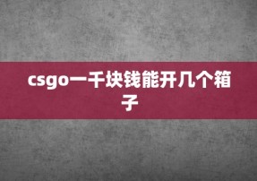 csgo一千块钱能开几个箱子