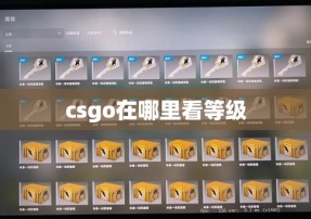 csgo在哪里看等级