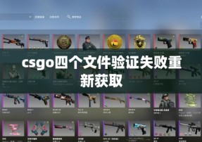 csgo四个文件验证失败重新获取