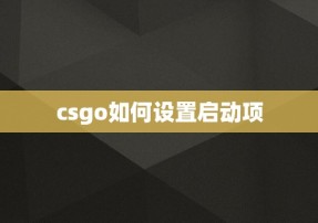 csgo如何设置启动项