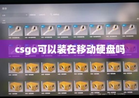 csgo可以装在移动硬盘吗