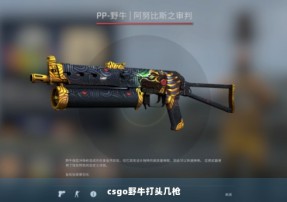 csgo野牛打头几枪