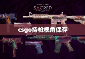 csgo持枪视角保存