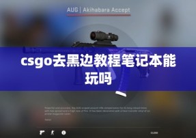 csgo去黑边教程笔记本能玩吗