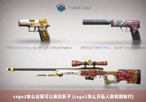 csgo2怎么设置可以看到影子 (csgo2怎么开私人房和朋友打)