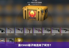 卖CSGO箱子钱流向了何方？