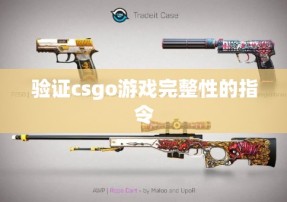 验证csgo游戏完整性的指令