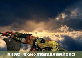 直接购买：在 CSGO 商店或第三方市场购买熊刀