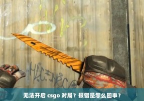 无法开启 csgo 对局？报错是怎么回事？