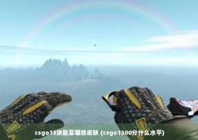 csgo13块能买哪些皮肤 (csgo1300分什么水平)