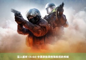 深入解析 CS:GO 中两款独具特殊检视的枪械