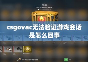 csgovac无法验证游戏会话是怎么回事