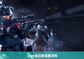 csgo自己的设置文件