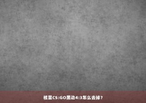 核显CS:GO黑边4:3怎么去掉？