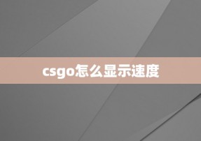 csgo怎么显示速度