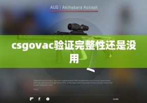 csgovac验证完整性还是没用