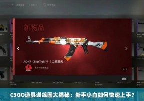 CSGO道具训练图大揭秘：新手小白如何快速上手？