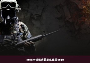 steam钱包余额怎么充值csgo