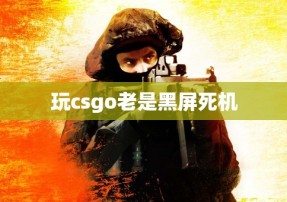 玩csgo老是黑屏死机